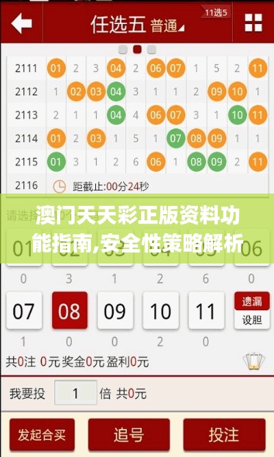 澳门天天彩正版资料功能指南,安全性策略解析_WP160.107