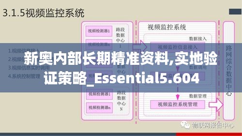 新奥内部长期精准资料,实地验证策略_Essential5.604