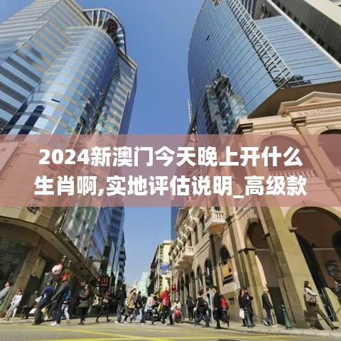 2024新澳门今天晚上开什么生肖啊,实地评估说明_高级款56.693