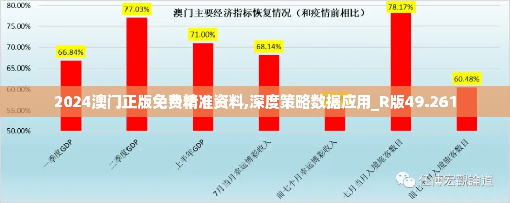 2024澳门正版免费精准资料,深度策略数据应用_R版49.261