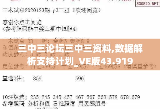 三中三论坛三中三资料,数据解析支持计划_VE版43.919