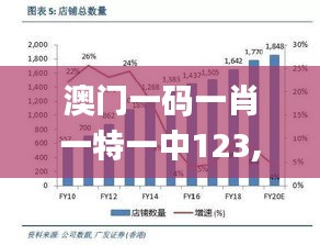 澳门一码一肖一特一中123,定性解析说明_6DM34.624