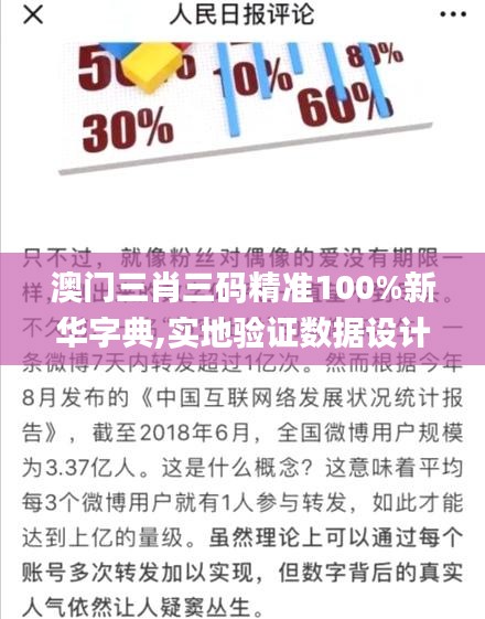 澳门三肖三码精准100%新华字典,实地验证数据设计_工具版72.800