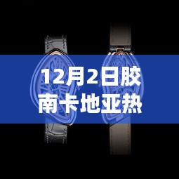 胶南卡地亚12月2日温馨日常与趣事情感纽带