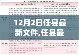 任县最新文件解读与分析，聚焦观点及其影响