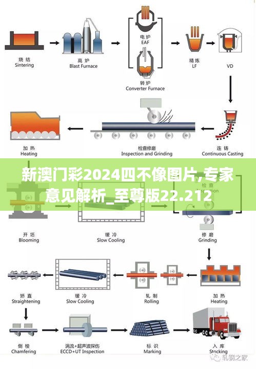 新澳门彩2024四不像图片,专家意见解析_至尊版22.212