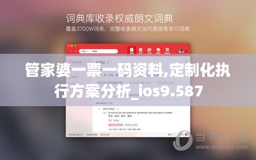 管家婆一票一码资料,定制化执行方案分析_ios9.587