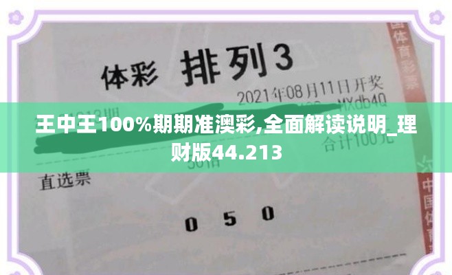 王中王100%期期准澳彩,全面解读说明_理财版44.213