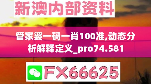 管家婆一码一肖100准,动态分析解释定义_pro74.581