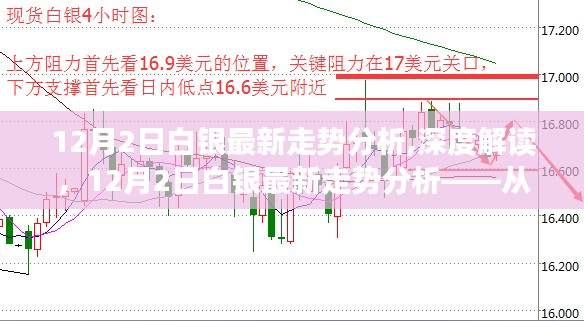 12月2日白银最新走势深度解读，市场动向分析视角揭秘白银走势