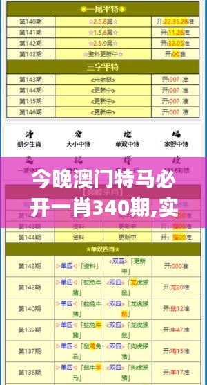 今晚澳门特马必开一肖340期,实地方案验证策略_经典版19.809-2