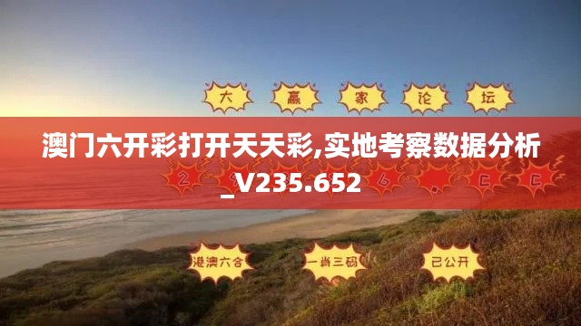 澳门六开彩打开天天彩,实地考察数据分析_V235.652