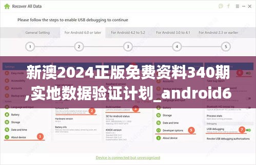 新澳2024正版免费资料340期,实地数据验证计划_android68.429-9