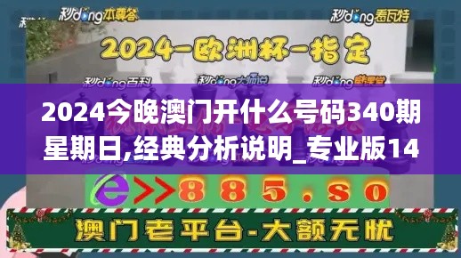 2024今晚澳门开什么号码340期星期日,经典分析说明_专业版14.663-6