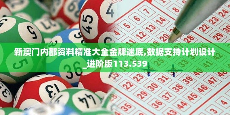 新澳门内部资料精准大全金牌迷底,数据支持计划设计_进阶版113.539