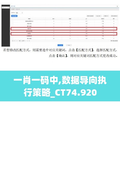 一肖一码中,数据导向执行策略_CT74.920