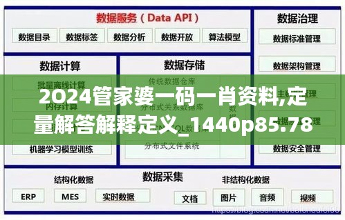 2O24管家婆一码一肖资料,定量解答解释定义_1440p85.785