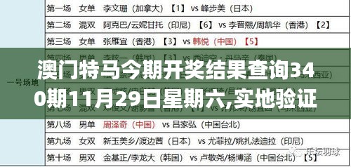 澳门特马今期开奖结果查询340期11月29日星期六,实地验证策略数据_VIP44.608-3