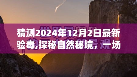 揭秘自然秘境，心灵之旅的验毒之旅（最新预测，2024年12月2日）