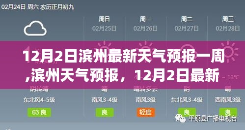 滨州天气预报，最新一周天气展望（至12月2日）