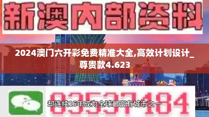 2024澳门六开彩免费精准大全,高效计划设计_尊贵款4.623