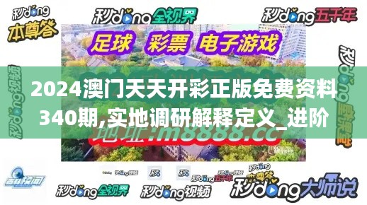 2024澳门天天开彩正版免费资料340期,实地调研解释定义_进阶版92.254-9