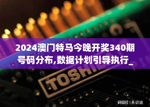 2024澳门特马今晚开奖340期号码分布,数据计划引导执行_Harmony81.915-3