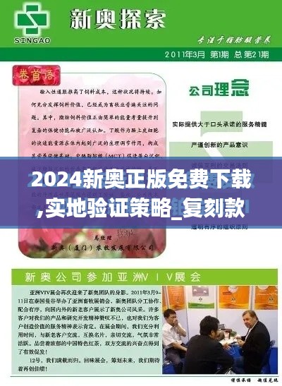 2024新奥正版免费下载,实地验证策略_复刻款10.276