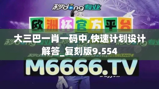 大三巴一肖一码中,快速计划设计解答_复刻版9.554