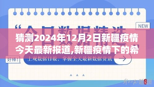 新疆疫情下的希望之光，学习变化的力量与未来自信——2024年12月2日最新疫情报道及分析