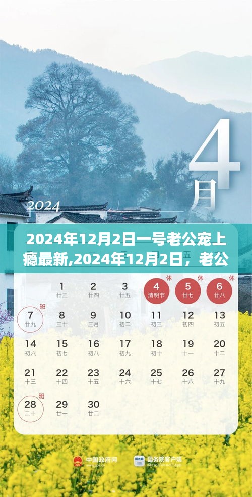 老公宠上瘾，深度解析与最新动态报道（2024年12月2日）