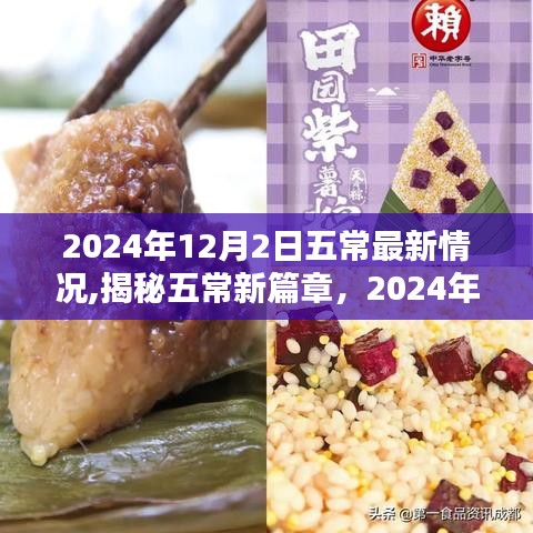 揭秘五常新篇章，最新动态与未来发展（2024年12月2日）