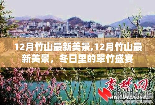 12月竹山最新美景，冬日翠竹的盛宴