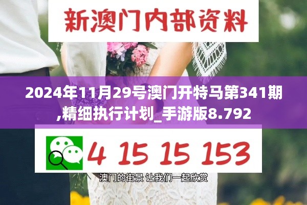 2024年11月29号澳门开特马第341期,精细执行计划_手游版8.792