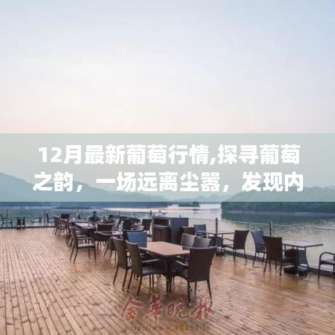 探寻葡萄之韵，十二月旅行记，远离尘嚣的心灵之旅