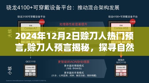 揭秘赊刀人预言与探寻自然美景之旅，内心的宁静与喜悦启程