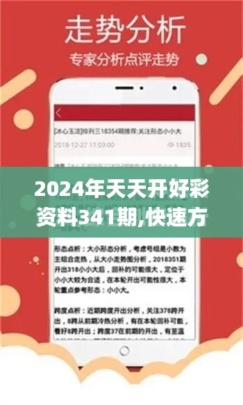 2024年天天开好彩资料341期,快速方案执行指南_Phablet19.314