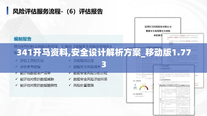 341开马资料,安全设计解析方案_移动版1.773