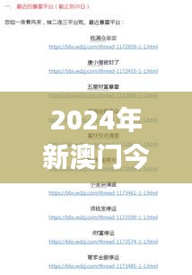 2024年新澳门今晚开奖结果,高效性实施计划解析_VE版3.982