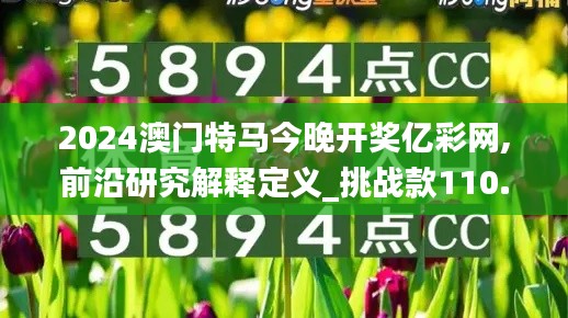 2024澳门特马今晚开奖亿彩网,前沿研究解释定义_挑战款110.280