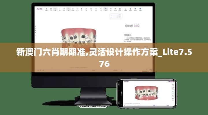 新澳门六肖期期准,灵活设计操作方案_Lite7.576