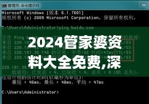 2024管家婆资料大全免费,深度解答解释定义_WP14.145