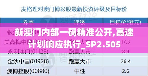 新澳门内部一码精准公开,高速计划响应执行_SP2.505