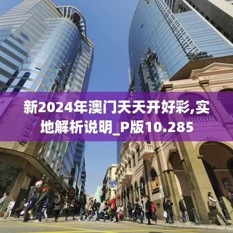 新2024年澳门天天开好彩,实地解析说明_P版10.285