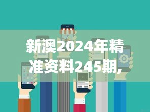 新澳2024年精准资料245期,灵活解析实施_网页版11.517