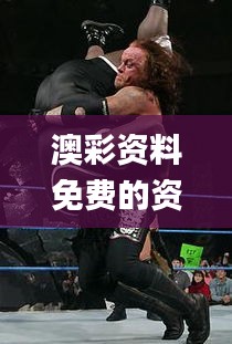 澳彩资料免费的资料大全wwe,权威诠释推进方式_超值版13.226