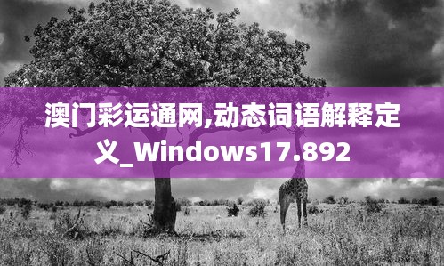 澳门彩运通网,动态词语解释定义_Windows17.892