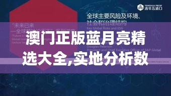 澳门正版蓝月亮精选大全,实地分析数据执行_SP5.475