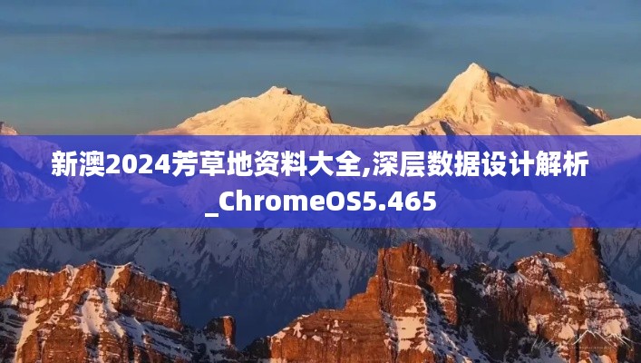 新澳2024芳草地资料大全,深层数据设计解析_ChromeOS5.465