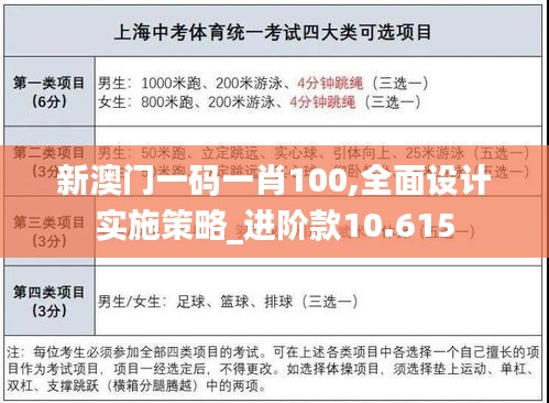 新澳门一码一肖100,全面设计实施策略_进阶款10.615